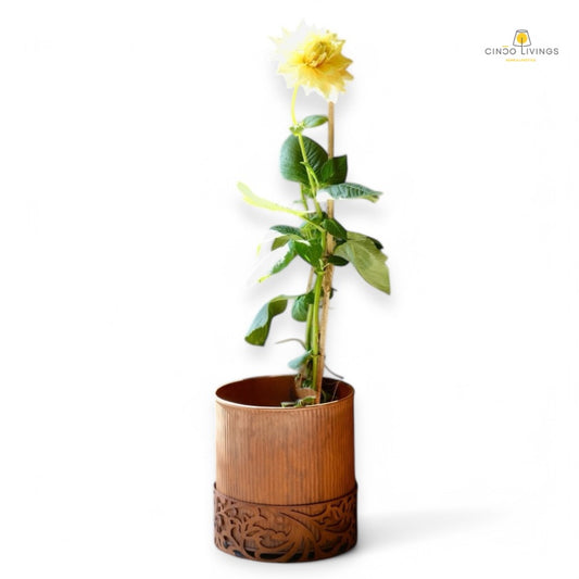 Circle of life Planter