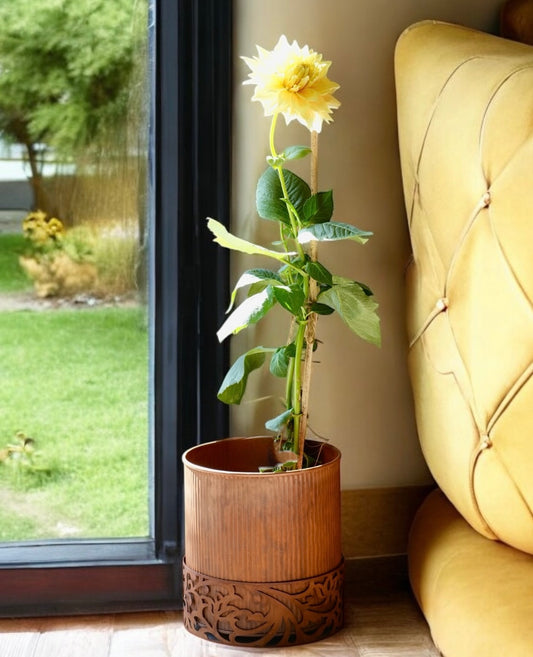 Circle of life Planter