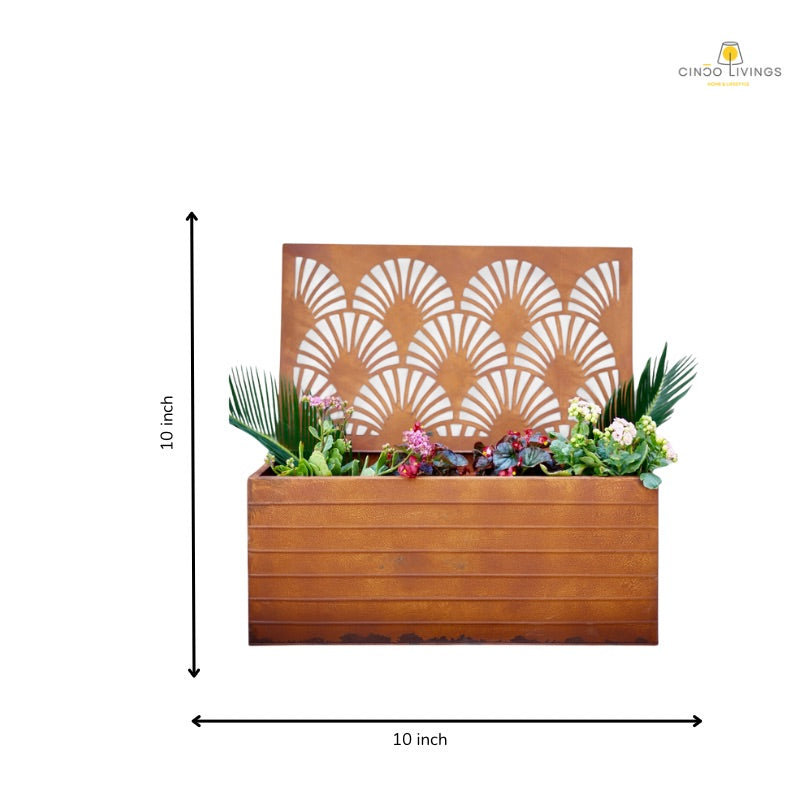 Ray Planter