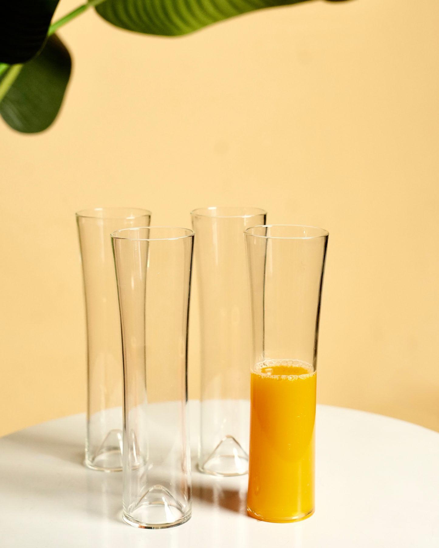 Long Champ Glass