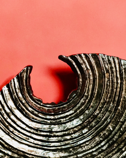 Almost Conch Sculpture